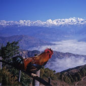 nepal nagarkot tour